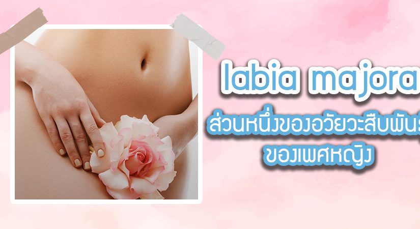 labia majora คือ ทำไมต้องทำการผ่าตัดศัลยกรรมตกแต่ง